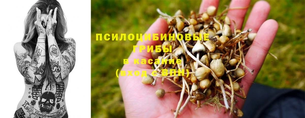 spice Баксан